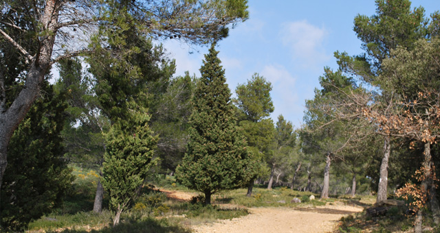 Balade dans le domaine de Fontblanche