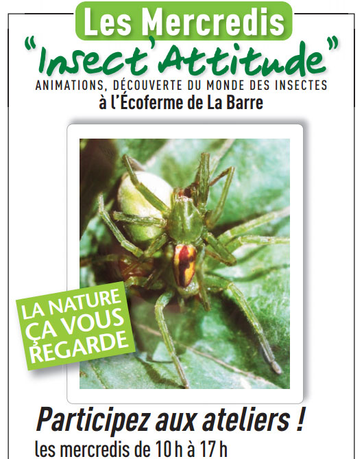 Les mercredis Insect'Attitude