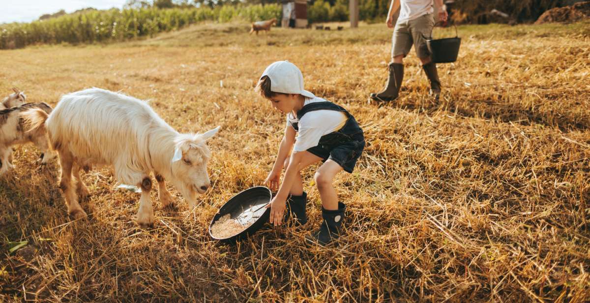 12 fermes ludiques et pédagogiques ouvertes aux familles ! 