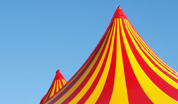 Made in Friche : Jeux de cirque