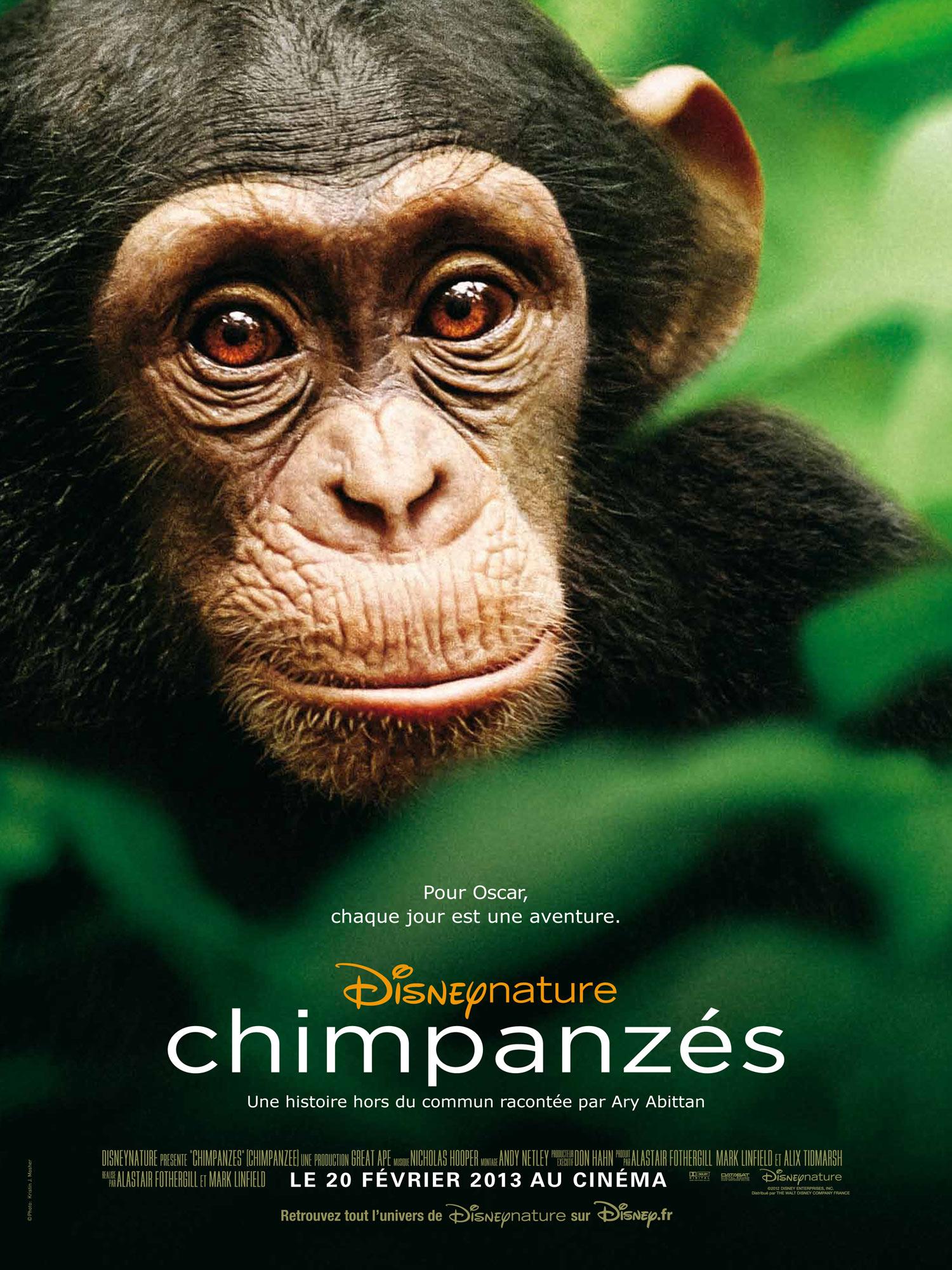 ChimpanzÃ©s