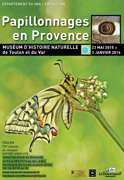 Papillonnages en Provence