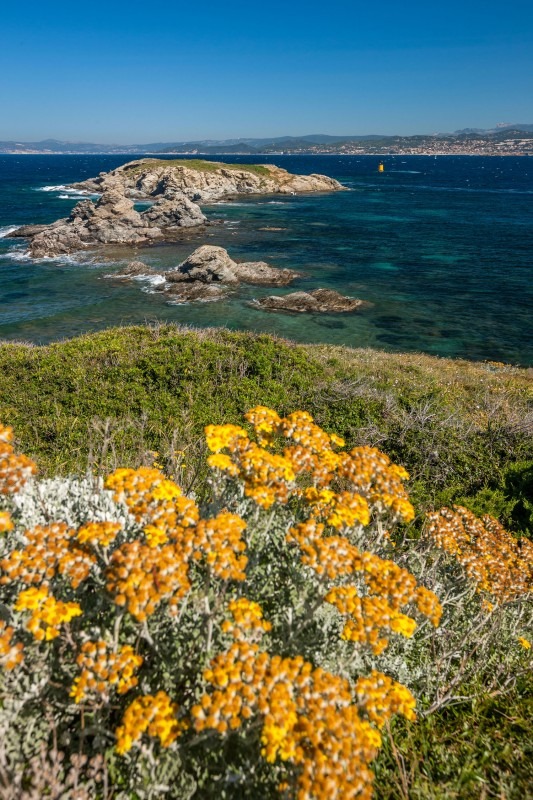 Visite guidée : Les Embiez l'île au Trésor anisé