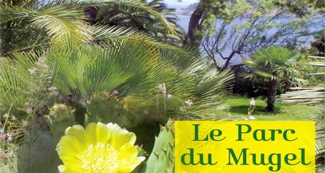 Résultat de recherche d'images pour "pique nique et foire aux plantes cours saint louis 29 avril marseille photos"