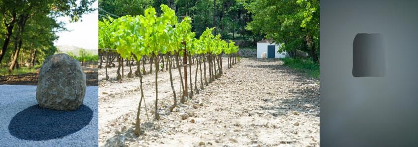 Expo dans les vignes : Lee Ufan au ChÃ¢teau La Coste