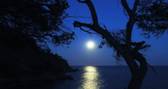 Balades en nocturne dans le Var