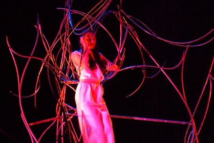 Dissertation britanicus francais 06 image