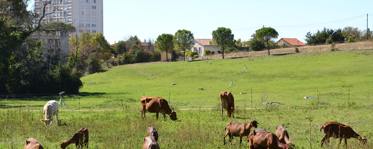 Animez-vous aux jardins, Ã  la ferme de la Tour des Pins