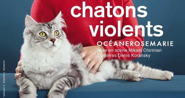 Chatons violents