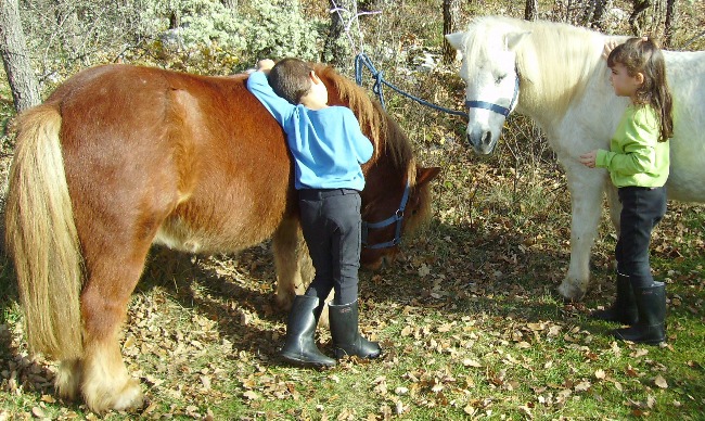 Mon Ami Poney a dÃ©mÃ©nagÃ©