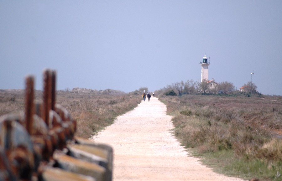 La Camargue