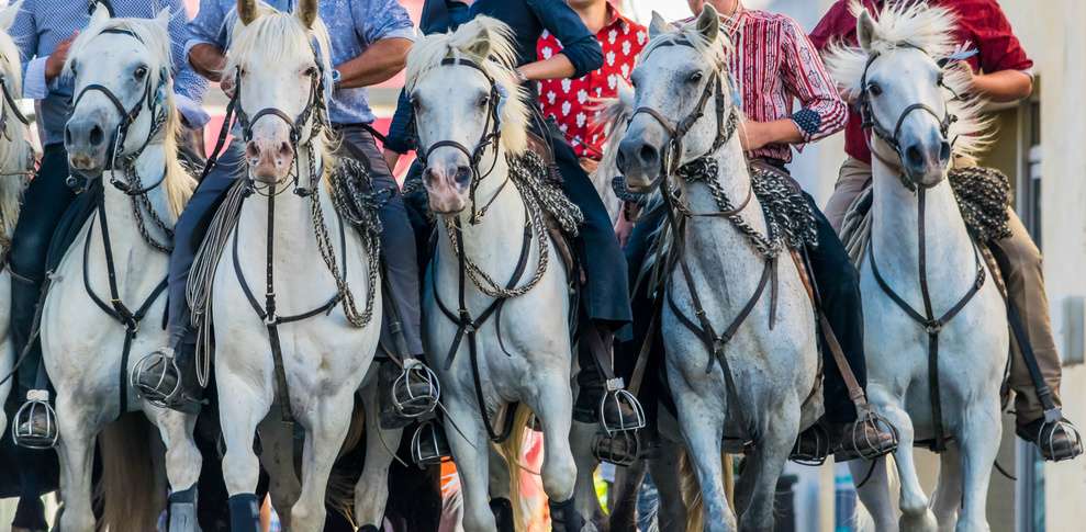 La Camargue en Famille