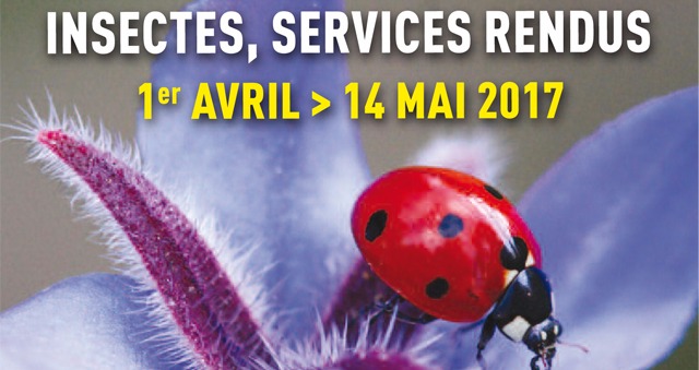 Insectes, services rendus