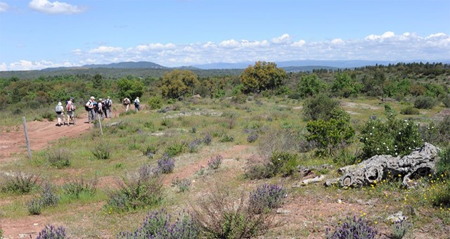 Sorties nature dans le Var