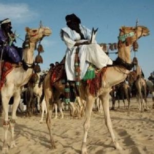 La caravane du dÃ©sert : Ali Farka TourÃ© Band, Terakaft & Afel Bocoum