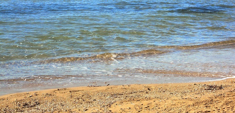 Fêtes de la mer et de la Saint Louis