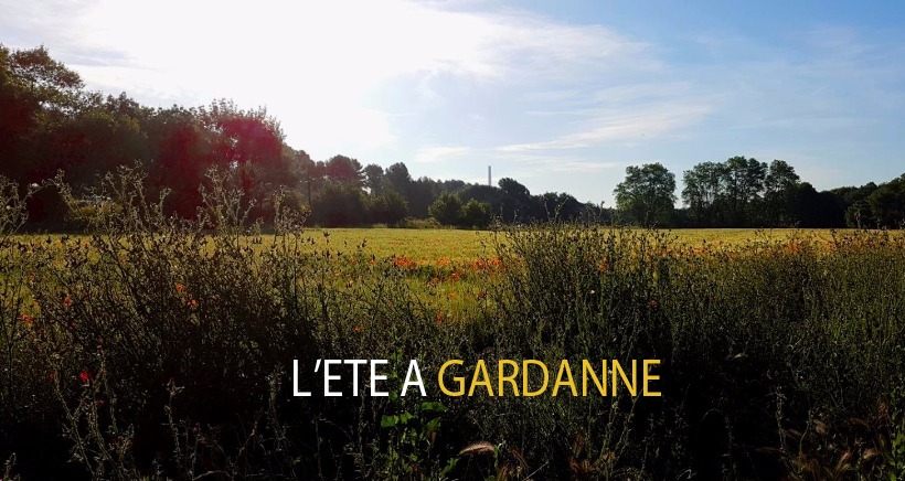 L'été à Gardanne