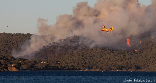 Incendies : Les caps Lardier et Taillat ravagés par les flammes