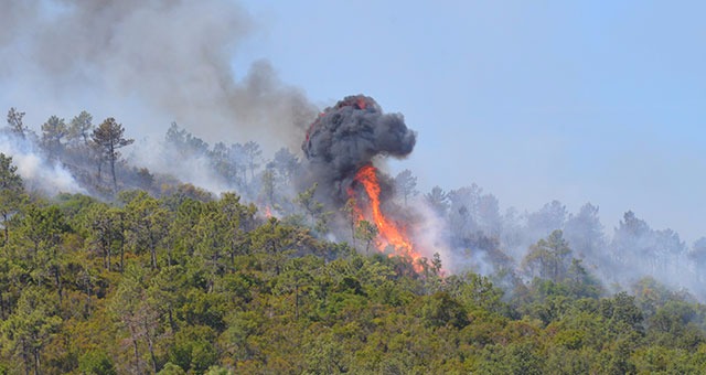 Un important incendie ravage le Cap Benat 