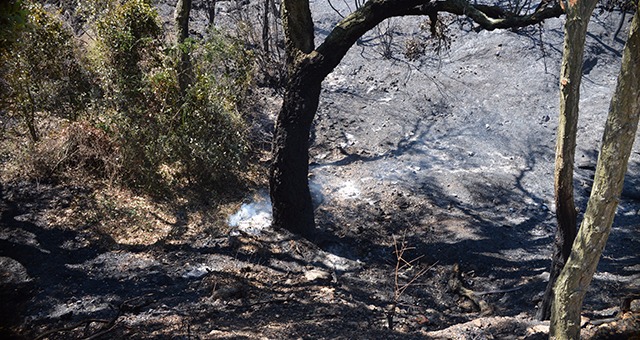 Estagnol, BreganÃ§on, Cabasson... Ces plages de rÃªve durement touchÃ©es par l'incendie