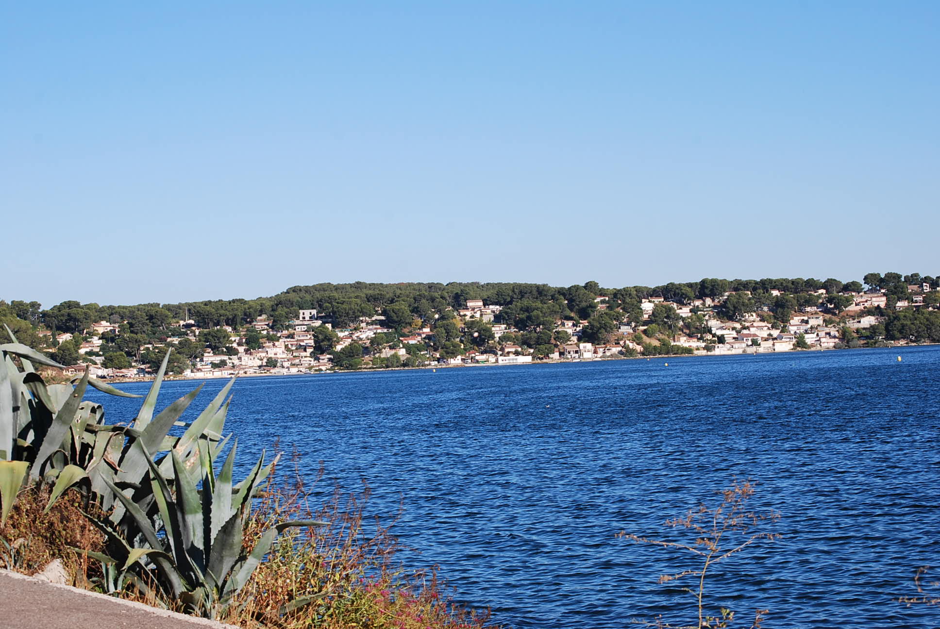 Baignade dans l'étang de Berre 