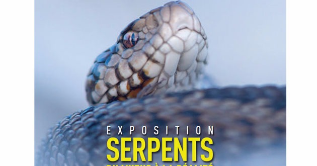 Serpents, du mythe Ã  la rÃ©alitÃ© au MusÃ©um dÃ©partemental du Var 