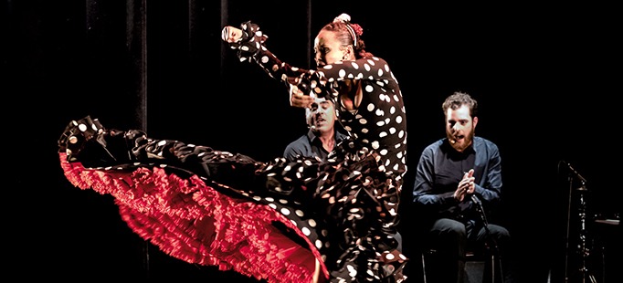 Résultat de recherche d'images pour "theatre nono la noche flamenca photos"