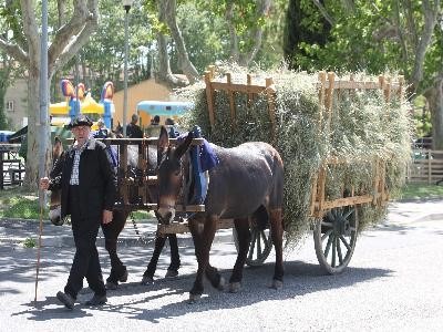 FÃªte du foin