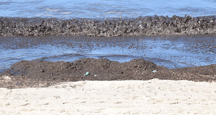 Marseille: trois plages restent interdites à la baignade ce jeudi