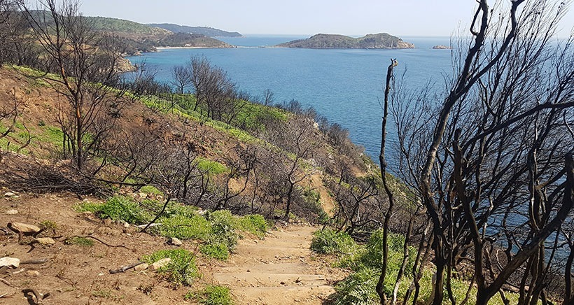 Il y a un an un incendie ravageait les Caps Lardier et Taillat