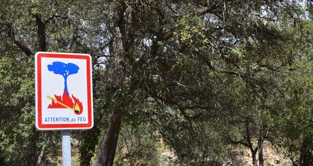 Vidauban: Un incendie a brûlé 2ha dans le massif des Maures