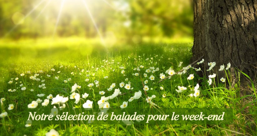 Soleil en Provence ce week-end, notre sélection de balades