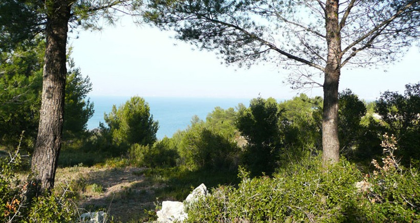 Parc De Figuerolles Avenue Du Grand Parc Martigues