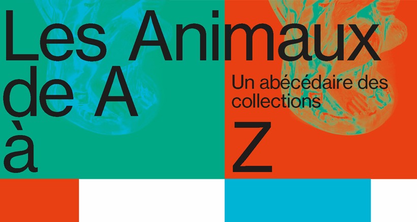 Les Animaux de A à Z