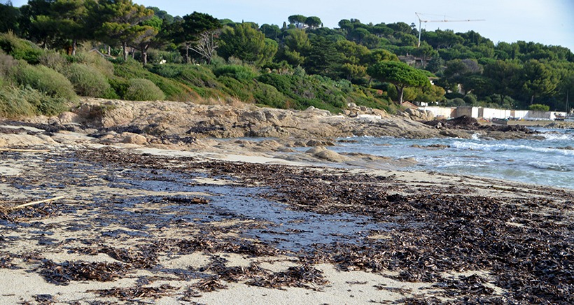 Pollution aux hydrocarbures: les photos et vidéos des plages souillées par le pétrole