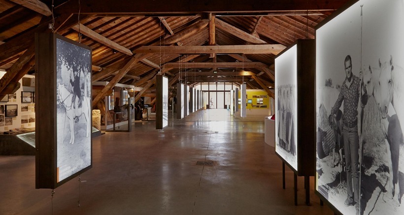 Arles : le musÃ©e de la Camargue a 40 ans et vous invite Ã  faire la fÃªte