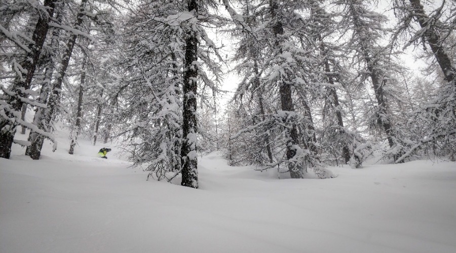 Alpes du Sud: La neige devrait faire son retour cette semaine.