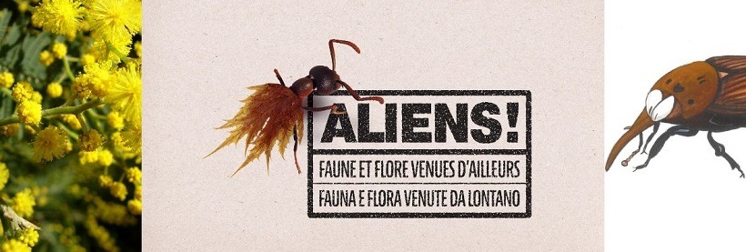 Aliens ! Faune et flore venues d'ailleurs