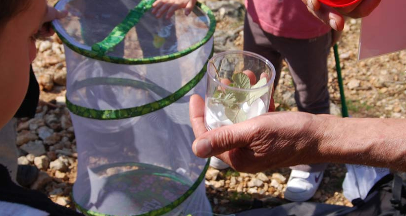  Les petits explorateurs de la colline