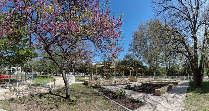 Le Parc du Pré Sandin, un paradis pour les oiseaux (et les humains aussi) à Toulon