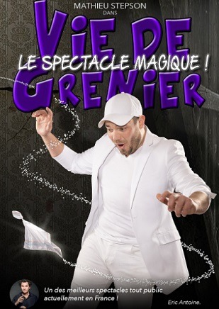 Vie de grenier - Mathieu Stepson