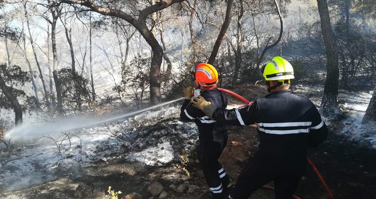 Important départ de feu sur la presqu'île de Saint Mandrier