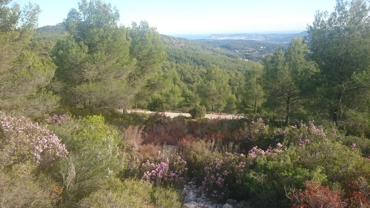 Alerte rouge pour les risques incendie dans le Var: La plupart des massifs fermés ce mercredi