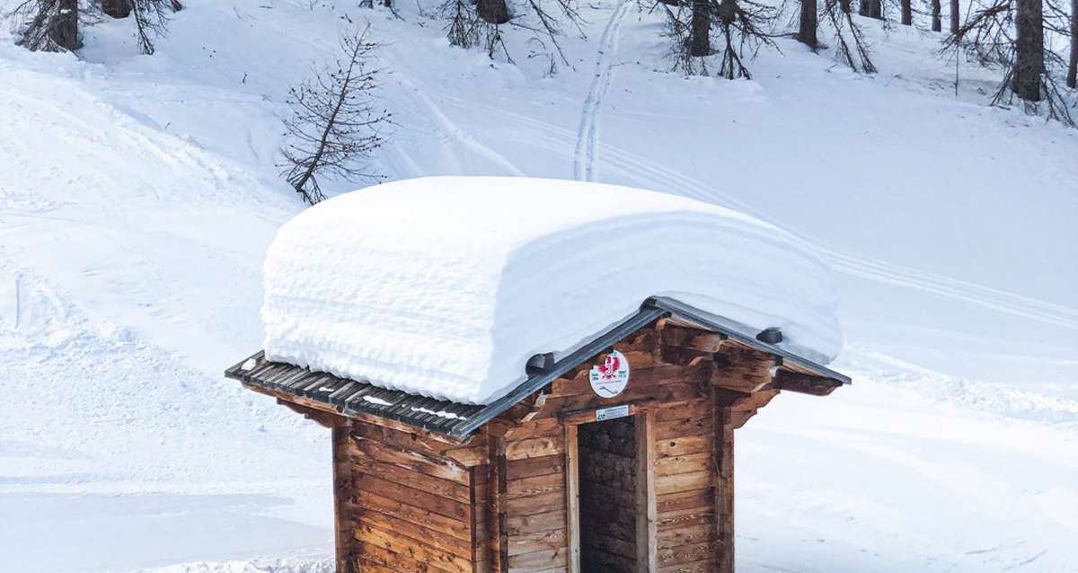 Jusqu'à 60cm de neige fraîche: Les Alpes du Sud font le plein de poudreuse!