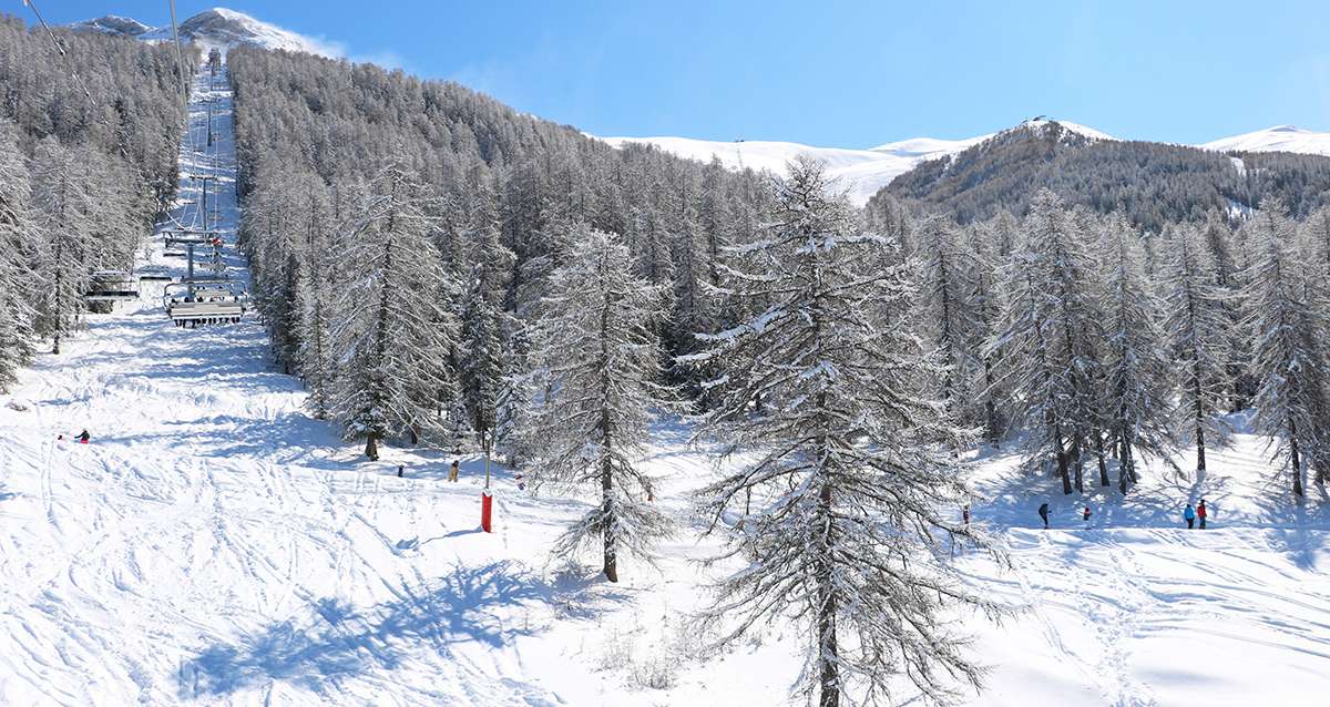 Près de 80cm de neige en 72h: Les Alpes du Sud ont retrouvé leurs couleurs hivernales