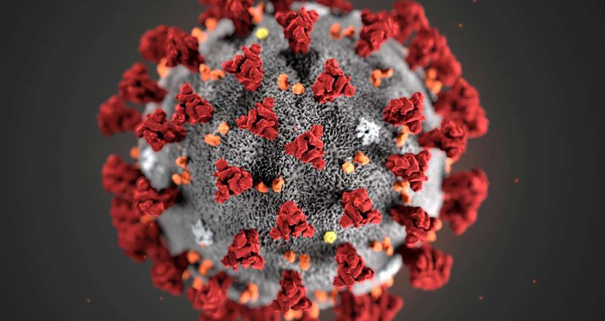Coronavirus: les mesures mises en place dans l'Ouest Var