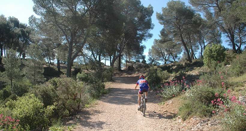 Coronavirus: les balades en forêt ne sont pas autorisées