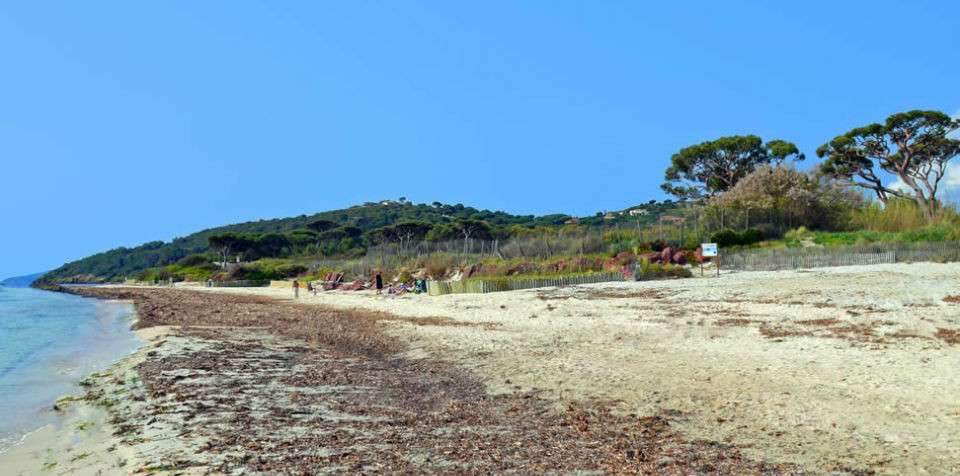 MarchÃ©s, musÃ©es, plages... ce qui rouvre le 11 mai Ã  Saint Tropez