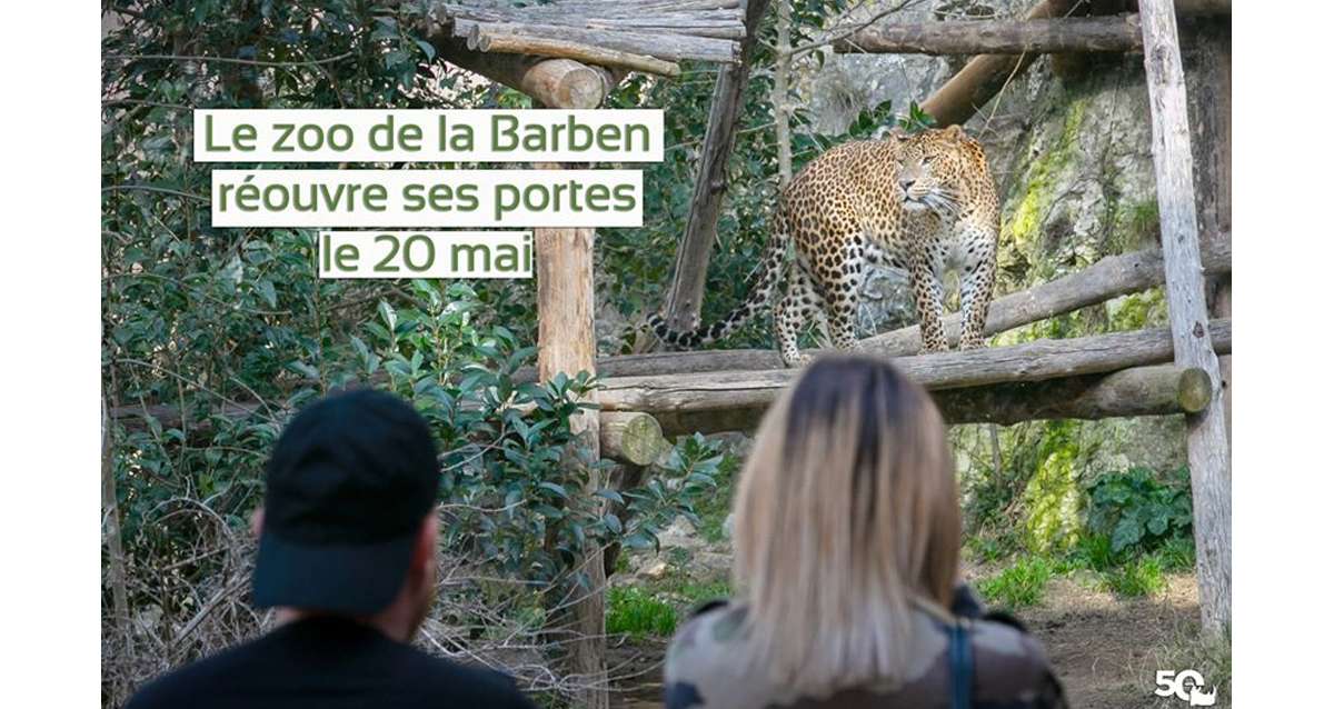 Le Zoo de la Barben rouvre ce mercredi 20 mai