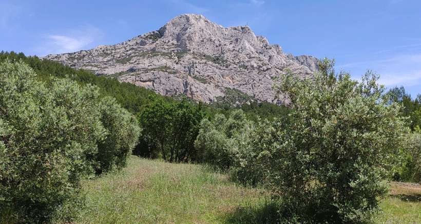 Balade dans le domaine de Roques Hautes : les Harmelins et le Refuge Cézanne